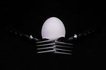 egg on black background	 von Aleks de Kairo