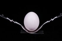 egg on black background von Aleks de Kairo