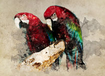Two red ara parrots by Jarek Blaminsky