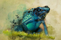 Poison blue frog by Jarek Blaminsky