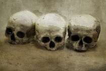 Three skulls von Jarek Blaminsky