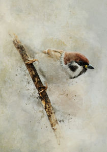 Small sparrow on the branch von Jarek Blaminsky