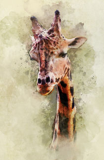 Pretty giraffe portrait by Jarek Blaminsky
