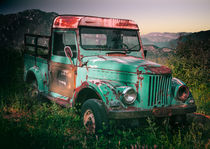 Forgotten Green Truck by Jarek Blaminsky