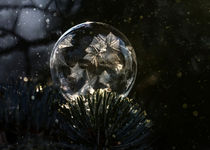 Pretty freezing soap bubble by Jarek Blaminsky