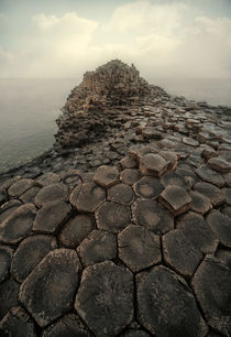 Hexagonal stones of Giant's Causeway at early morning by Jarek Blaminsky