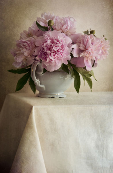Still-life-with-fresh-peonies