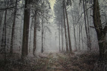 Mystischer Nebelwald mit Raureifstimmung von Christine Horn