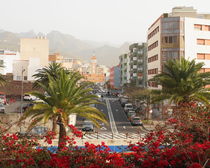 Santa Cruz de Tenerife by Edith Diewald