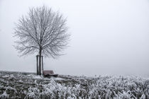Baum und Bank im Nebel - Hegau von Christine Horn