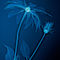 Lanuma-rudbeckia-blueice