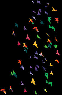 Colorful flying birds by Cindy Shim