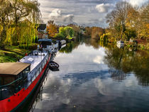 The View Upriver From Whitchurch Toll Bridge by Ian Lewis