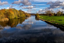 Reflections At Pangbourne Meadows by Ian Lewis
