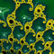 Emerald-fractal-drops