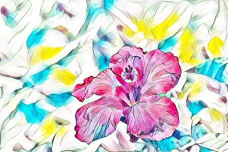 Neon-hibiscus