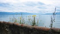 Bodensee by vivaphoto