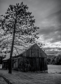 Pine Barn by James Aiken