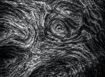 Driftwood Abstract von James Aiken