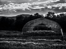 Reclaimed Greenhouse 2 by James Aiken