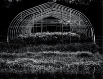 Reclaimed Greenhouse 3 by James Aiken