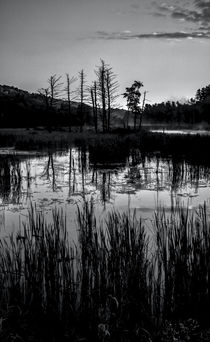 Swampland Sunrise 1 - BW von James Aiken