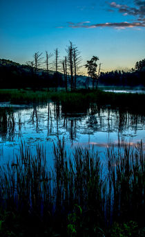 Swampland Sunrise 1 by James Aiken