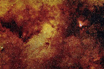Sommermilchstraße mit M 17 - summer Milky Way with M 17 von monarch