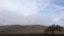 Windmills von Hacer Merve Alanyali