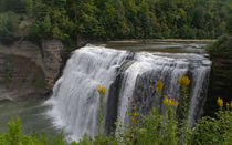 Waterfall Genesse River Letchworth State Park by Manfred Schreyer