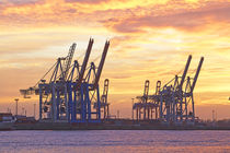Hamburg - Containerterminals bei Sonnenuntergang von Olaf Schulz