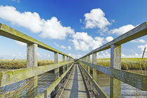 Westerhever - Holzbrücke in den Salzwiesen von Olaf Schulz