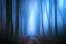 Cold walk in the forest von Stefan Kierek
