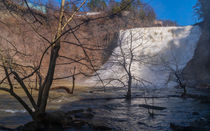 Ithaca Falls NY by Manfred Schreyer