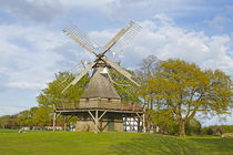 Windmühle Levern (Stemwede) von Olaf Schulz