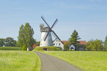 Windmühle Wegholm (Petershagen) von Olaf Schulz
