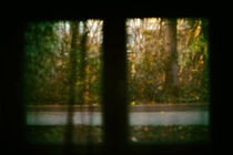 Herbst hinter dem Fenster by Bastian  Kienitz