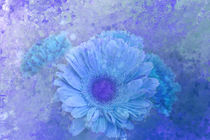 Blue Spring von Elisabeth  Lucas