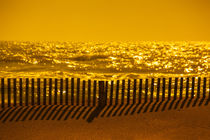 Sunset Beach Fence by David Hare
