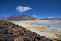 Atacama Salt Lake von David Hare