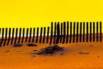 Beach Fence von David Hare