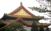 Forbidden City by Elisabeth  Lucas