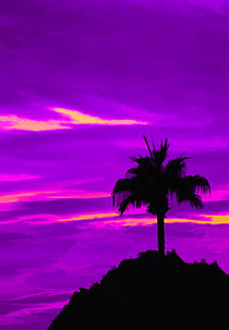 Purple Sunrise von Elisabeth  Lucas