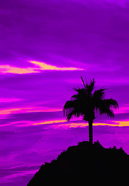 Purple-sunrise