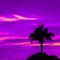 Purple-sunrise