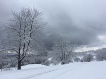 Schneelandschaft im Naturschutzgebiet bei Freiburg by lisa-melsio