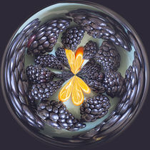 Blackberry and Kumquat Orb by Elisabeth  Lucas