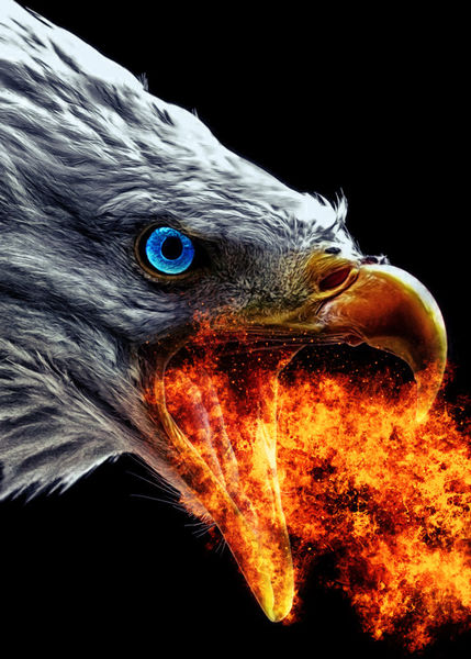 Displate-star-eagle-scream-firebreather