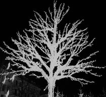 White tree by giart