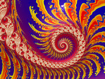 Attractive Colorful Spiral by Elisabeth  Lucas